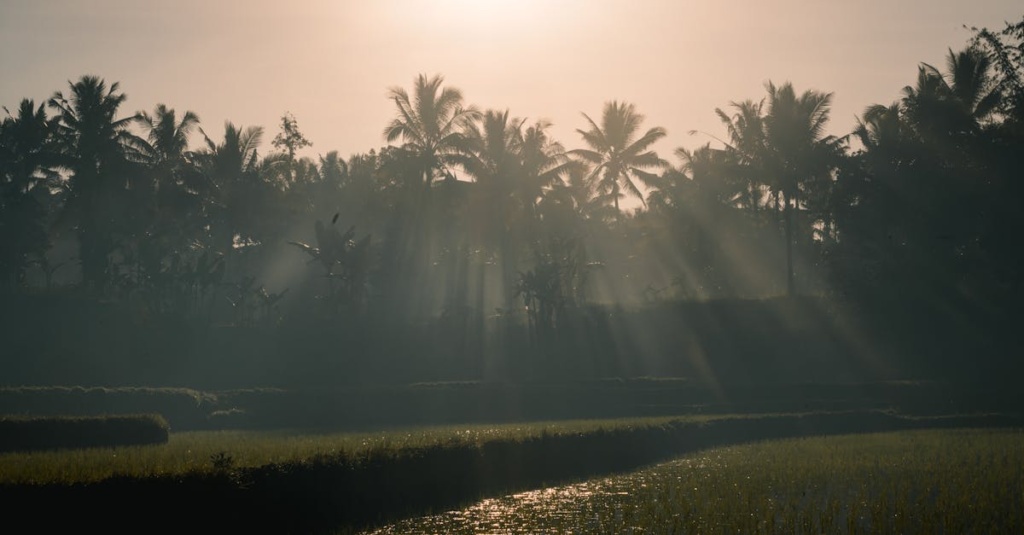 découvrez nos meilleurs conseils pour voyager à bali : quand partir, que visiter, astuces pratiques et recommandations pour un séjour inoubliable sur l’île des dieux.