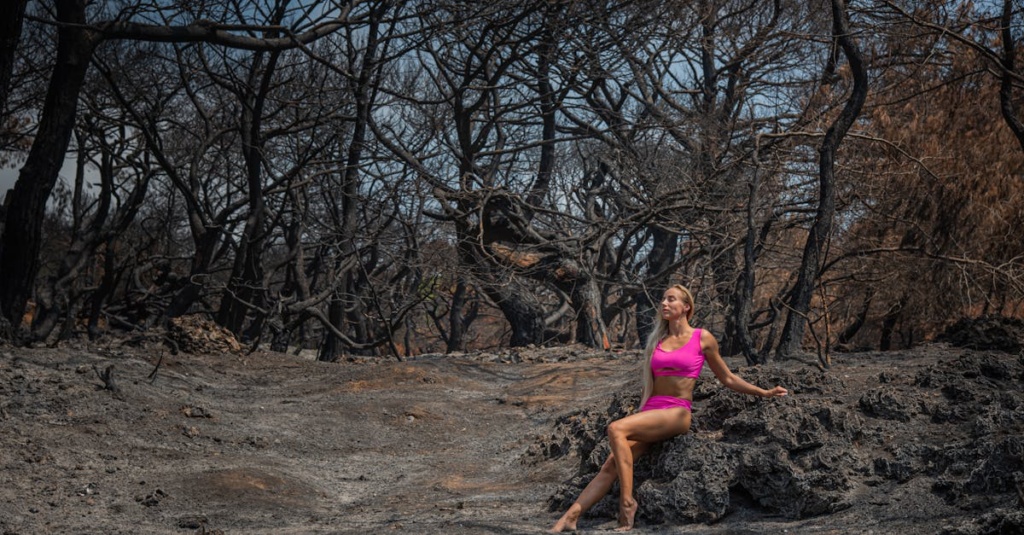 découvrez comment récupérer vos cryptomonnaies perdues ou volées grâce aux meilleures solutions et conseils pour la récupération de crypto-actifs en toute sécurité.